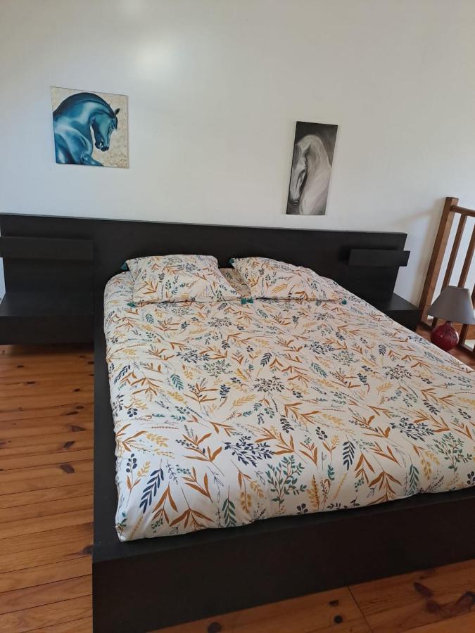La Vauterie Villa Saint-Martin-de-Cenilly Eksteriør billede